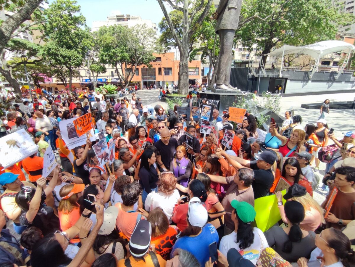 Proteccionistas exigieron justicia en Caracas por la muerte de Mariposa, una perrita rescatada tras los terremotos