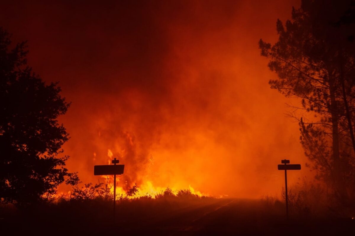 En imágenes: incendios en España y Francia han dejado más de 250 mil evacuados y miles de hectáreas quemadas