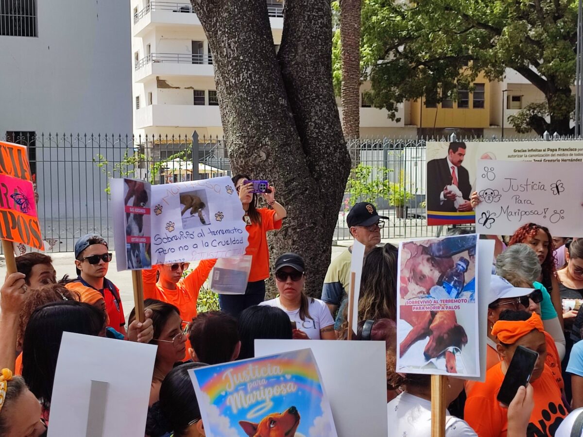 Proteccionistas exigieron justicia en Caracas por la muerte de Mariposa, una perrita rescatada tras los terremotos