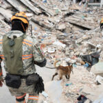 Misión mexicana recuperó 92 cuerpos y rescató a dos personas tras los terremotos en Venezuela