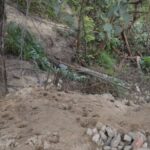 Inparques descartó colapsos en El Ávila tras los terremotos