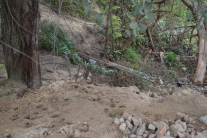 Inparques descartó colapsos en El Ávila tras los terremotos