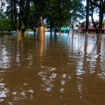 Inundaciones en Apure dejaron a miles de familias sin viviendas ni enseres