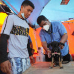 Reportaron que los refugios de animales en La Guaira están colapsados tras los terremotos