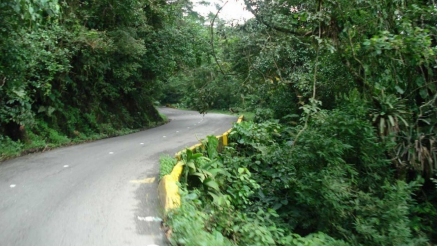 Restablecieron el paso por la carretera Maracay-Choroní tras deslizamiento de tierra