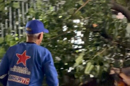 Fuertes lluvias y ráfagas de viento causaron caída de árboles y fallas eléctricas en la Gran Caracas