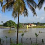 Fuertes lluvias provocaron crecidas de ríos e inundaciones en Yaracuy