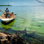 Azul Ambientalista reportó cambios en el agua del lago de Maracaibo por contaminación petrolera