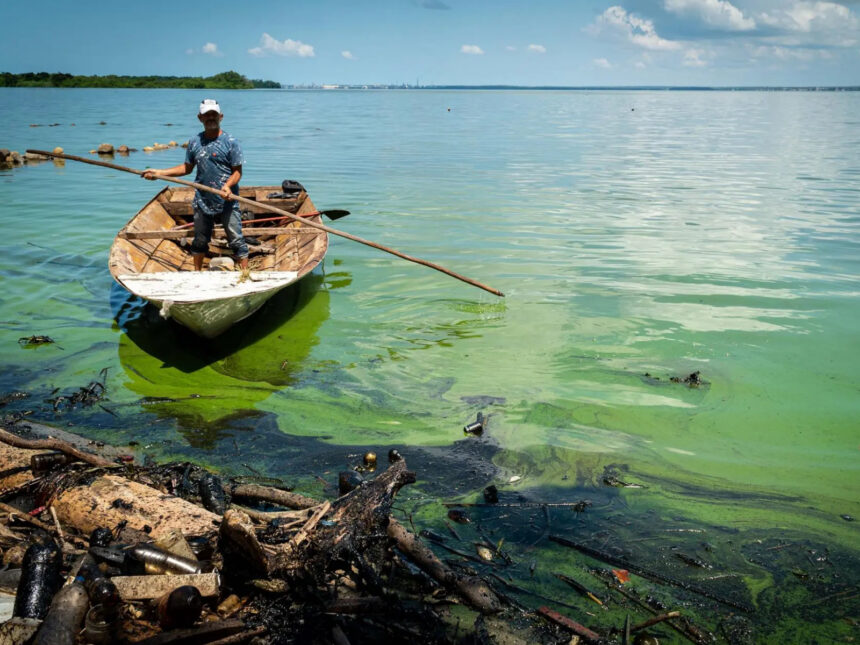 Azul Ambientalista reportó cambios en el agua del lago de Maracaibo por contaminación petrolera
