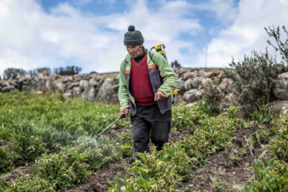 Advierten sobre daños en las cosechas de los Andes ante efectos del ‘‘Superniño’’