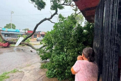 Fuertes vientos y lluvias dejaron árboles caídos y viviendas afectadas en Monagas y Anzoátegui