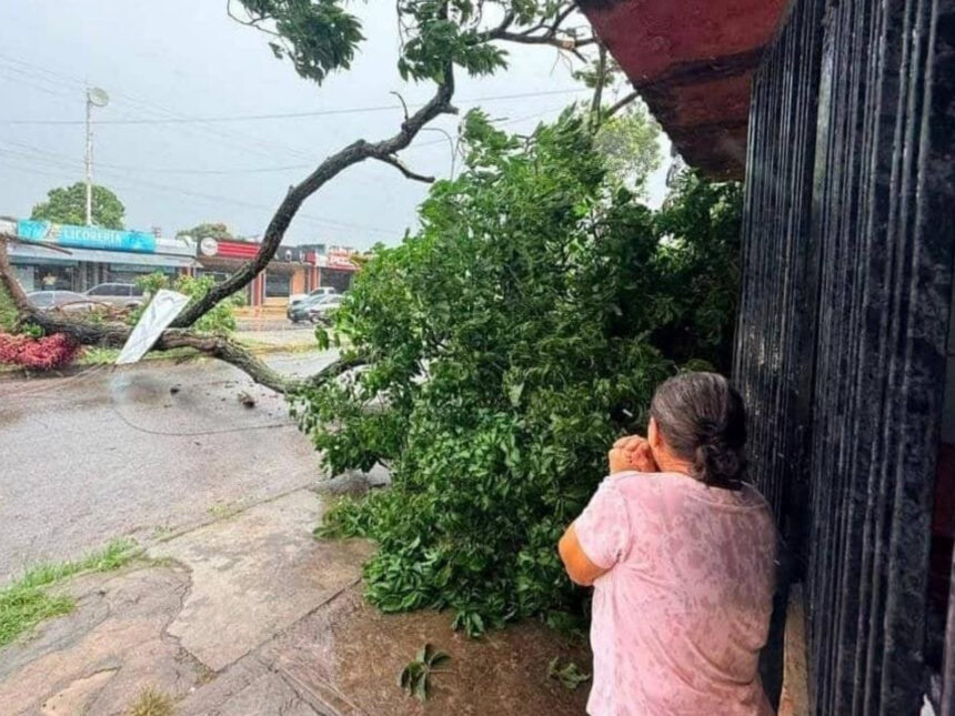 Fuertes vientos y lluvias dejaron árboles caídos y viviendas afectadas en Monagas y Anzoátegui