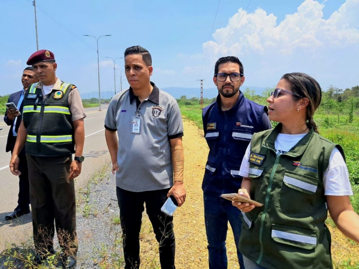 Investigarán a los responsables de maltratar a un oso melero en Anzoátegui