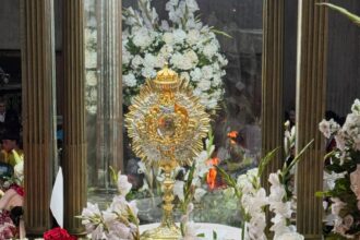 Conmemoraron los 374 años de la coronación de la Virgen de Coromoto como patrona de Venezuela