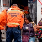 Ataque de abejas dejó más de 30 heridos en Táchira