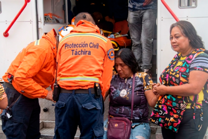 Ataque de abejas dejó más de 30 heridos en Táchira