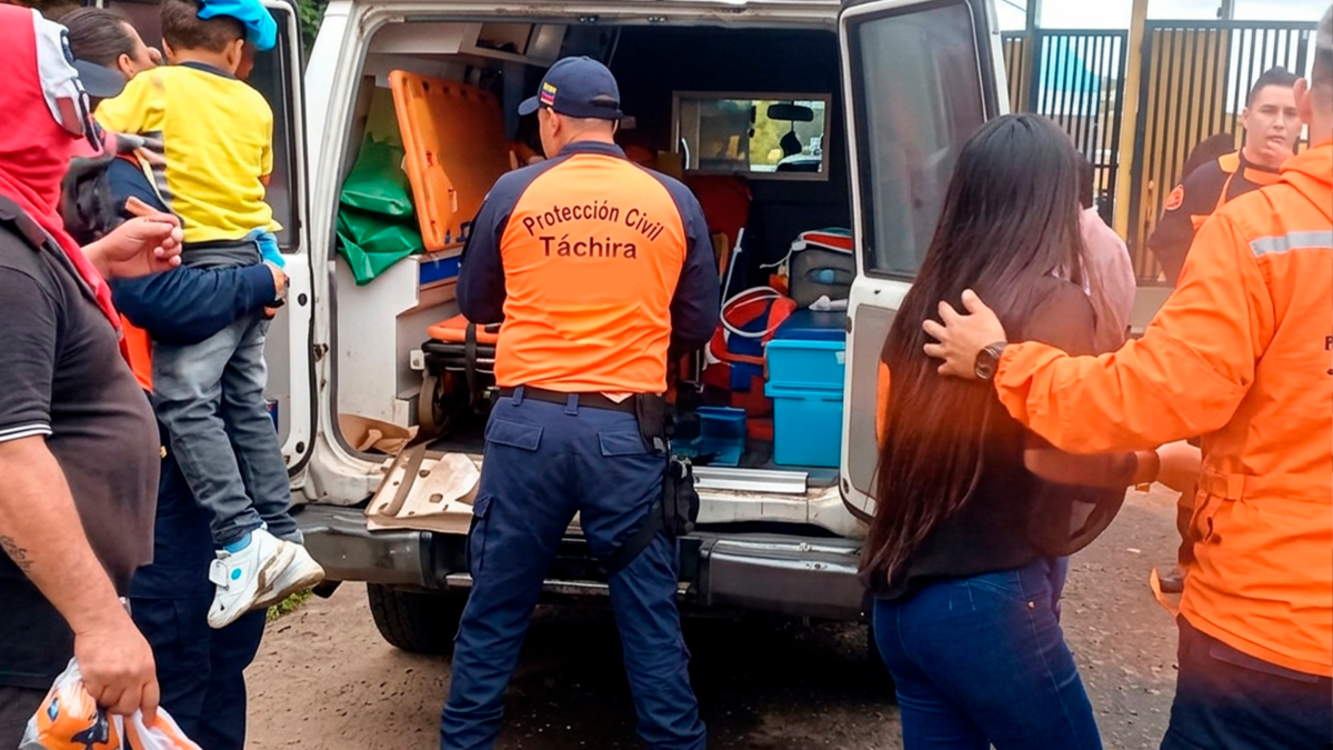 Ataque de abejas dejó más de 30 heridos en Táchira