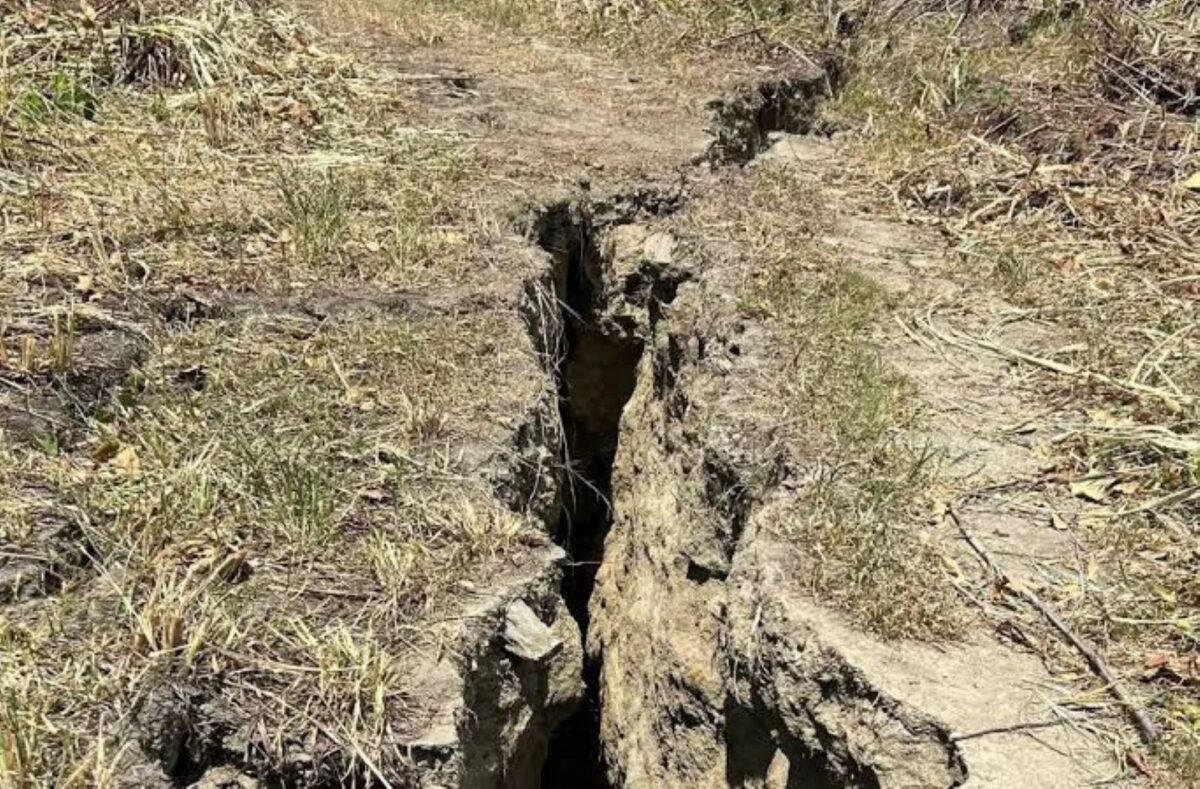 Ingeniera Luiraima Salazar: “No existe ningún método científico para predecir cuándo ocurrirá un terremoto”