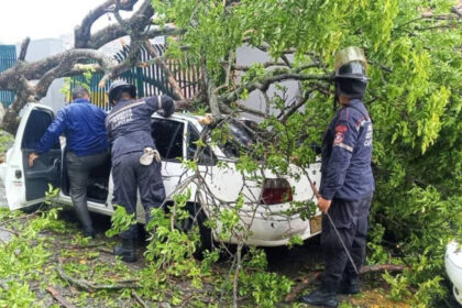 Se reportaron anegaciones y árboles caídos por las lluvias en la Gran Caracas