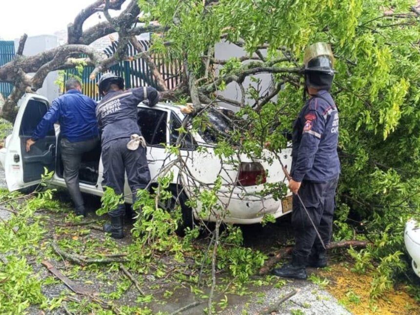 Se reportaron anegaciones y árboles caídos por las lluvias en la Gran Caracas