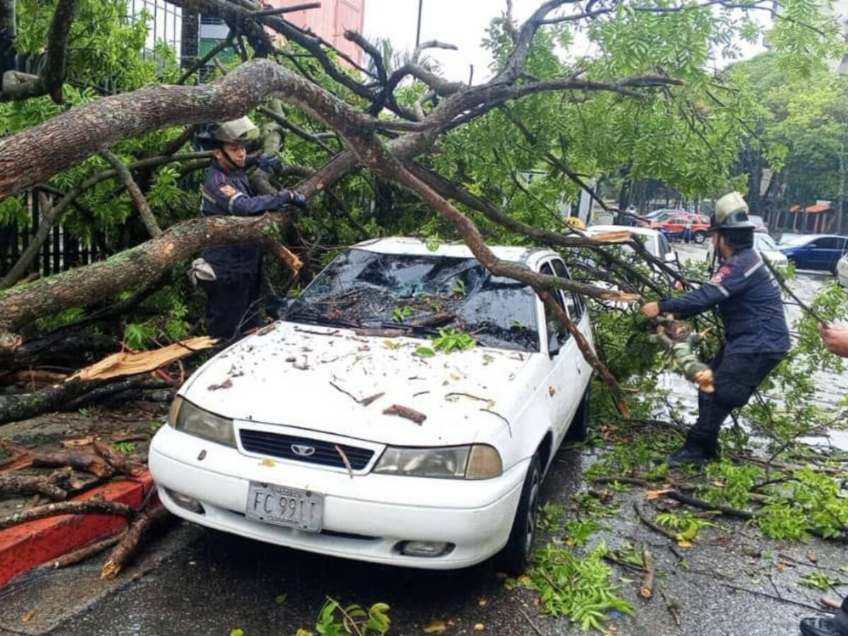 Se reportaron anegaciones y árboles caídos por las lluvias en la Gran Caracas