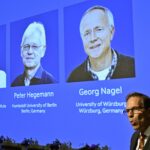 Deisseroth, Hegemann y Nagel ganaron el Nobel de Medicina por sus descubrimientos en optogenética