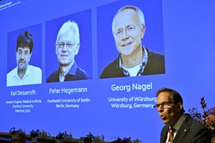 Deisseroth, Hegemann y Nagel ganaron el Nobel de Medicina por sus descubrimientos en optogenética