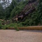 Fuertes lluvias provocaron inundaciones y caída de árboles en varias zonas de la Gran Caracas
